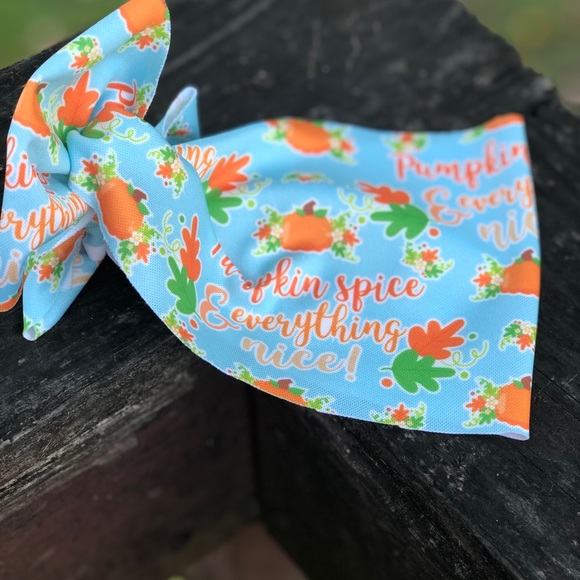 Pumpkin spice 🎃 - Picture 2 of 2